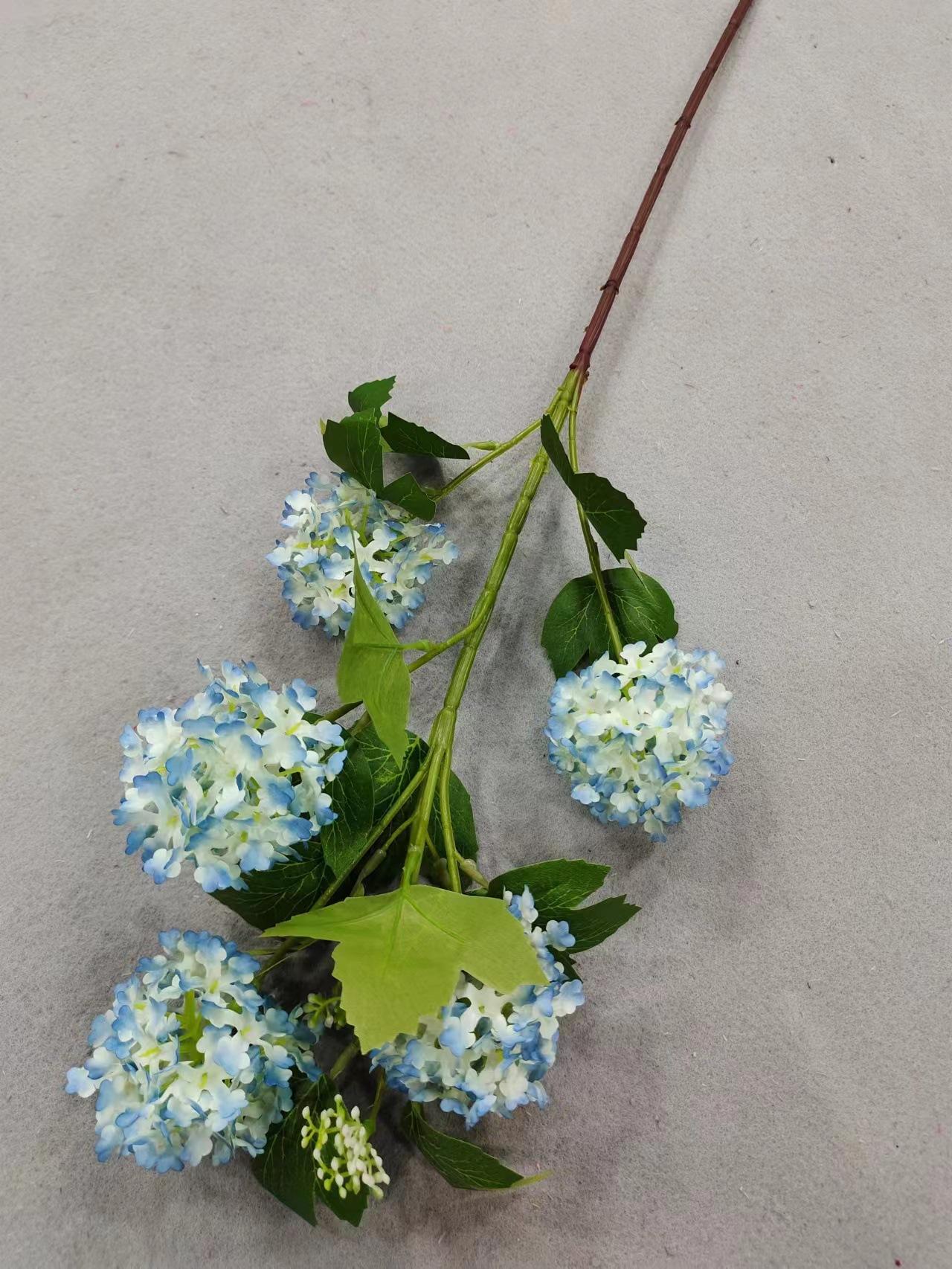 5头小绣球蓝色