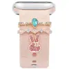 Anillo Decorativo para Correa de Apple Watch, Limpieza de Pérdidas, Decoración Universal de Correa de Silicona para Apple Watch