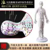 Modelo de Corpo Humano com Pontos de Acupuntura para Praticar Inserção de Agulha, Diagrama Completo do Corpo com os Doze Meridianos da Medicina Chinesa, Modelo de Cobre em Forma Humana