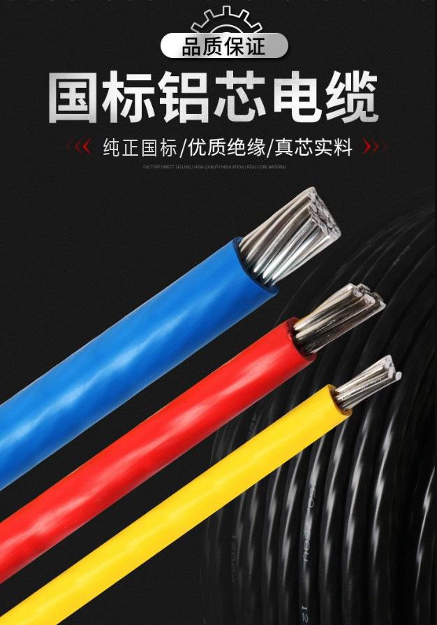 BLV图片3