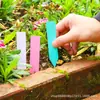 Etiqueta de Flor de Forma Recta de PVC Etiqueta de Jardinería Impermeable de Plástico Identificación de Plantas Suculentas Pequeño Cartel de Suelo