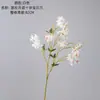 Flor de Orquídea Gema Cruzada Mes de Sera Estilo INS Fabricante de Flores Artificiales Decoración del Hogar Venta al por Mayor Flor Falsa Boda Transfronteriza