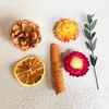 Natal seco frutas secas flor caixa canela pinha diy material pacote pacote sem fogo aromaterapia decoração planta natural arranjo de flores secas