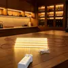 Tira de Luz LED Especializada para Productos de Hierro Forjado Anxi, Gabinete de Vino, Estante de Vino, Iluminación Ambiental, Nuevo Modelo de Tira de Luz LED Autoadhesiva, Bricolaje, Entrega Directa desde Anxi