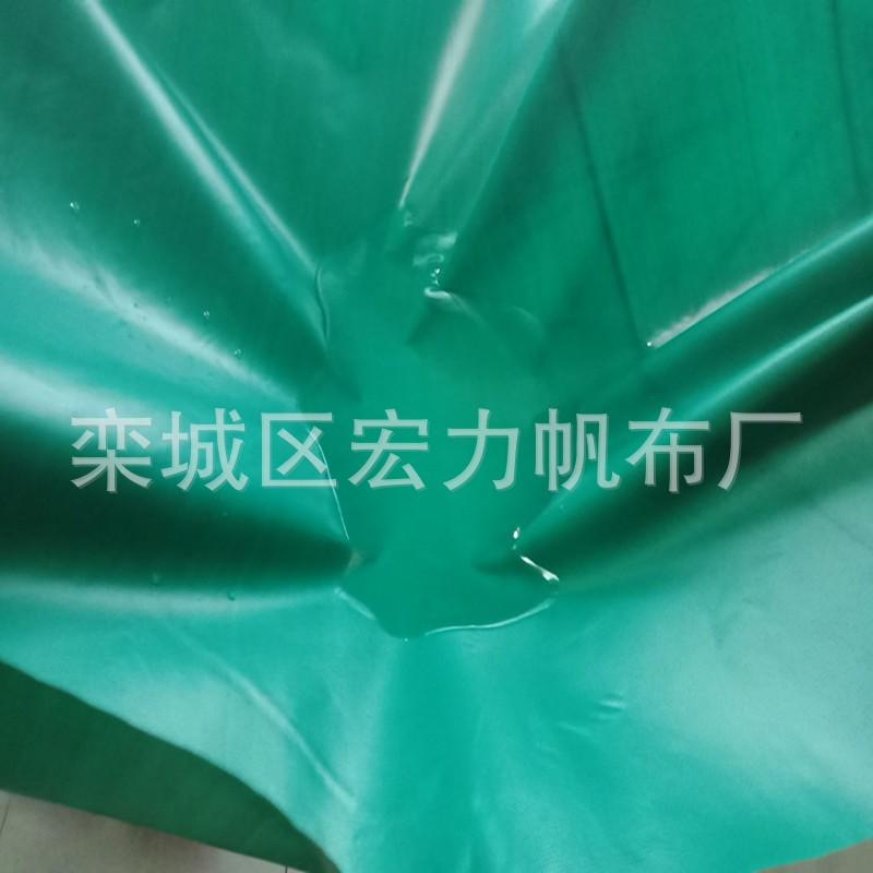 10702552593_475807701