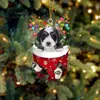 Navidad Transfronteriza Lindos Calcetines de Navidad Perro Árbol de Navidad Decoración Colgante Regalo Creativo Festivo