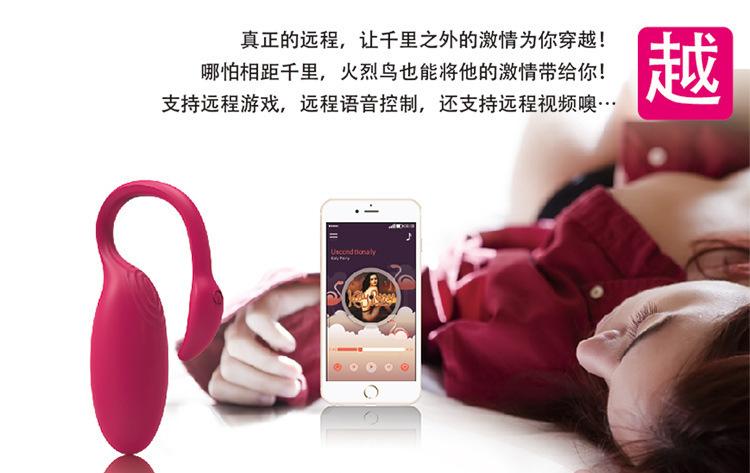 火焰鸟AI_04.jpg