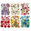 Flores secas y especímenes de plantas de flores marco de fotos repujado a mano marcapáginas lámpara de escritorio pegamento nail art suministro transfronterizo venta al por mayor 18 piezas