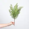 Venta al por mayor de plantas verdes ornamentales para paredes, incluyendo helechos, clemátides, helechos silvestres de montaña, bambú negro, tuya, helechos de espárrago y helechos extranjeros