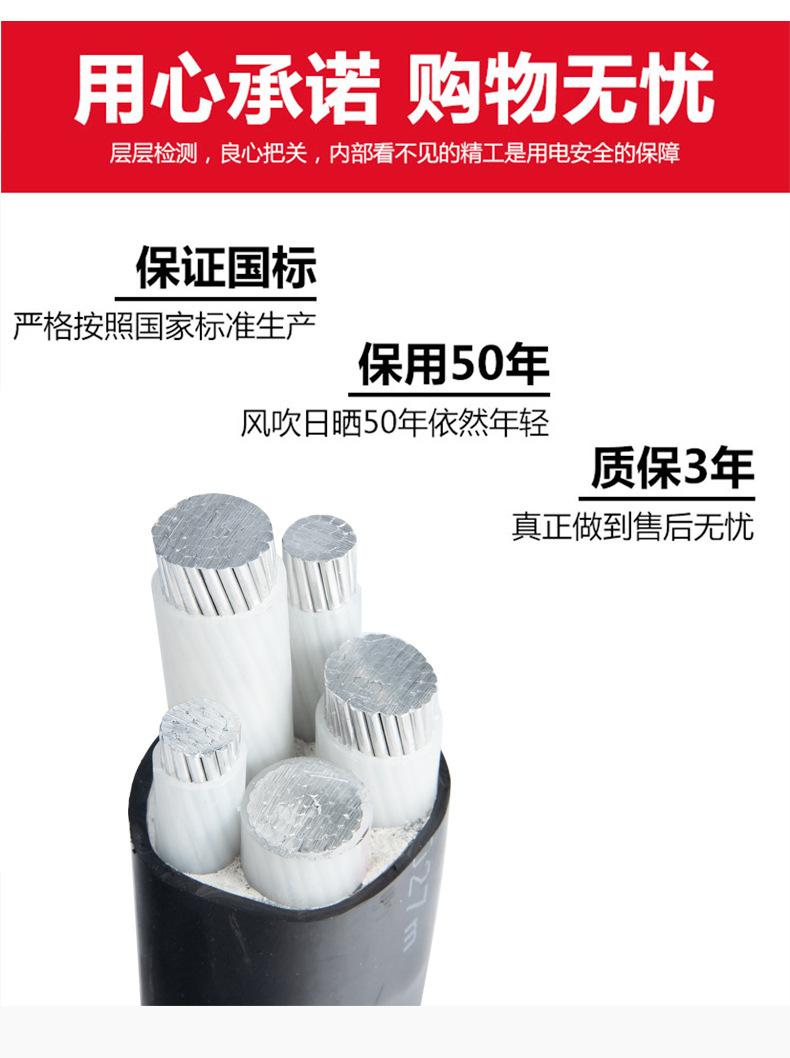 详情09