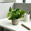 Planta Artificial de Bonsái Verde con Forma de Búho de 4 Ramas, Modelo Nuevo Transfronterizo para Bar y Cafetería, Decoración Única de Planta Falsa en Maceta