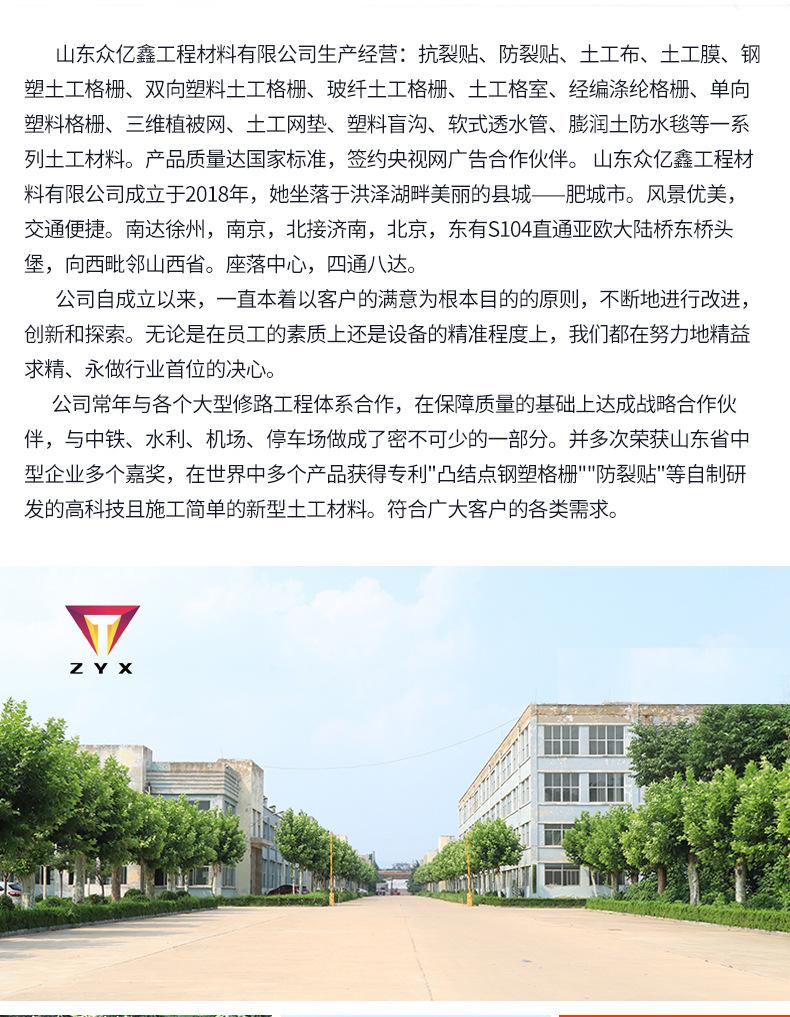 1单向塑料格栅1_09.jpg