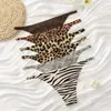 Procesamiento Personalización Transfronterizo Europa y América Panties sin Costuras Sexy Estampado de Animal Leopardo Tira Fina Comercio Exterior Tallas Grandes Panties para Mujer