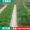 Fabricante de Placa de Cimento para Drenagem de Vegetais de Guangdong, Placa de Pavimentação de Jardim de Concreto Pré-fabricado Acabado, Ladrilho de Piso de Muro de Pedra Lateral de Estrada Rural