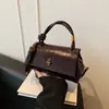 Bolso de Mano de Nicho Estilo Coreano para Mujer 2025 Nuevo Modelo Transfronterizo Bolso de Hombro Único Color Sólido Tacto de Alta Gama Bolso Cuadrado Pequeño Cruzado