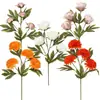 Item Popular Transfronteiriço: Peônia Artificial Única, Crisântemo Bola Original, Folhagem Artificial, Flores Artificiais de Outono em Estoque na Amazon