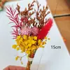 Mini ramo transfronterizo, mini ramo de flores secas, flor eterna, ramo de regalo de aromaterapia, venta al por mayor desde fabricante de Yunnan