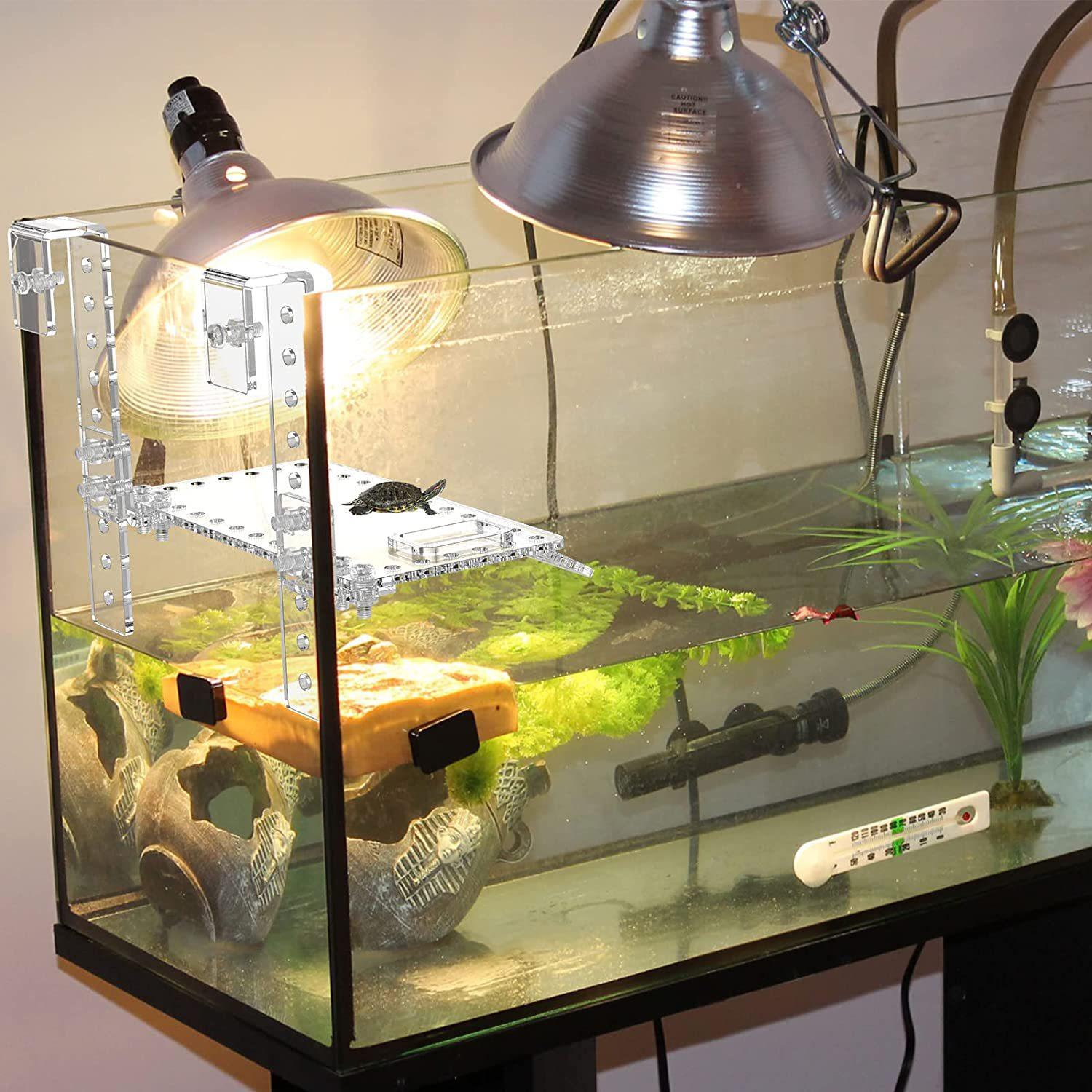 71ZzK7C7TwL._AC_SL1500_