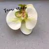Cabeça de Flor de Orquídea Phalaenopsis Artificial, Textura de Película Impressa em 3D, Buquê Exquisito para Decoração de Casamento e Lembrança