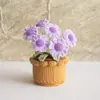Ornamento para Casa de Crochê Artesanal Transfronteiriço Miosótis em Vaso Flores de Tricô de Lã Flores Artificiais Vasos de Mesa