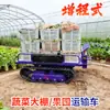 Vehículo de Transporte Agrícola Específico para Invernaderos, Volquete Eléctrico Pequeño Ligero, Artefacto Doméstico para Huertos y Patios