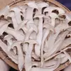 Hongos matsutake silvestres, rodajas de matsutake secas, hongos matsutake blancos secos, hongos secos para sopa, hongos shiitake, rodajas de matsutake secas