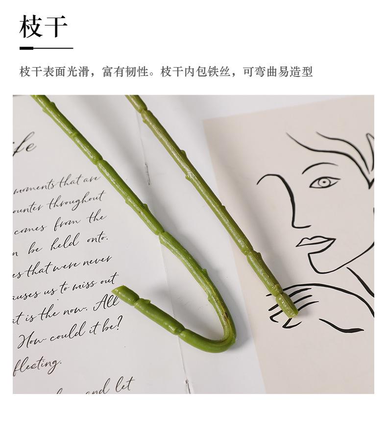 单枝6叶针垫花_16.jpg