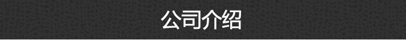 公司介绍