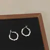 Brilhantes Prata Pequenas Argolas de Orelha Fivela de Orelha Celebridade da Internet Popular Estilo Frio Luxo Leve Nicho Alto Padrão Brincos Personalizados para Mulheres