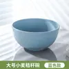 Conjunto de Tigelas de Arroz Plástico Extra Grande Mais Vendido Transfronteiriço, Conjunto de Tigelas Plástico, Tigela de Sopa, Tigela de Salada, Conjunto de Tigela com Colher e Hashi Plástico Infantil