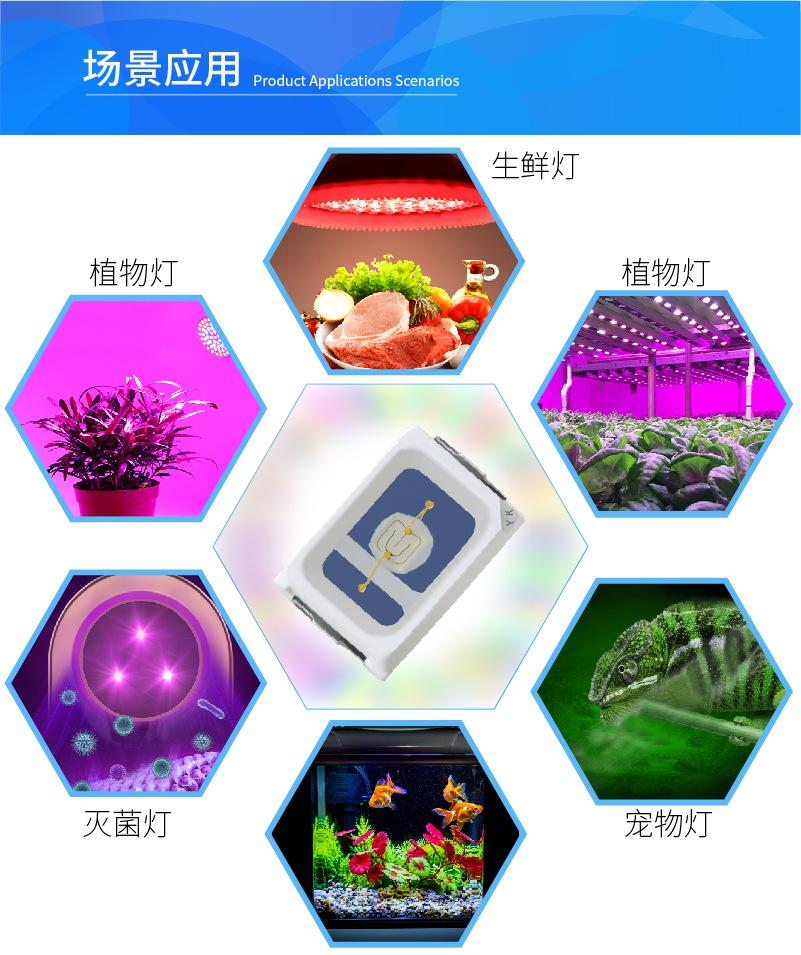 2016详情B-04