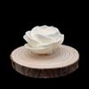 Al por Mayor en Stock 4cm Ratán Aromaterapia Flor de Loto y Pandora Flores Secas Se Pueden Teñir y Perforar para Decoración del Hogar Flores Artificiales