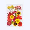 Bolsa de Material Repujado de Flor Seca Flor diy Marcapáginas Gotas de Pegamento Carcasa de Teléfono Móvil de Flor Seca Flor Repujada Espécimen de Planta