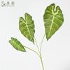 Plantas Verdes Simuladas 3 Pavo Real Negro Otoño Lirio de Calas Arreglo Floral con Planta de Hoja Muro de Plantas Verdes Plantas para el Hogar Plantas Hoja de Tortuga