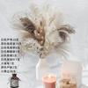 Yunnan buquê de flores secas pequeno buquê de junco Pupd Reed combinação Coelho cauda grama poeira set Nordic Amazon atacado