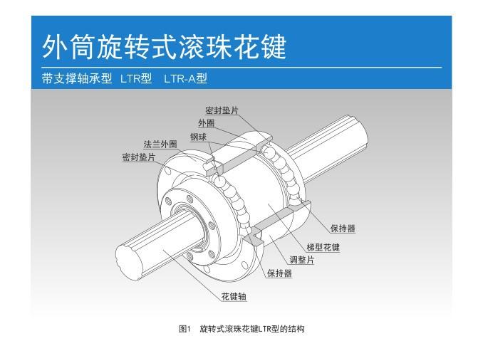 LTR尺寸1