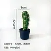 Flores Artificiais Plantas Tropicais Cacto em Vaso Gaze Preta Fabricante Internacional de Plantas Artificiais Fornecimento Direto Transfronteiriço Dropshipping de Peça Única
