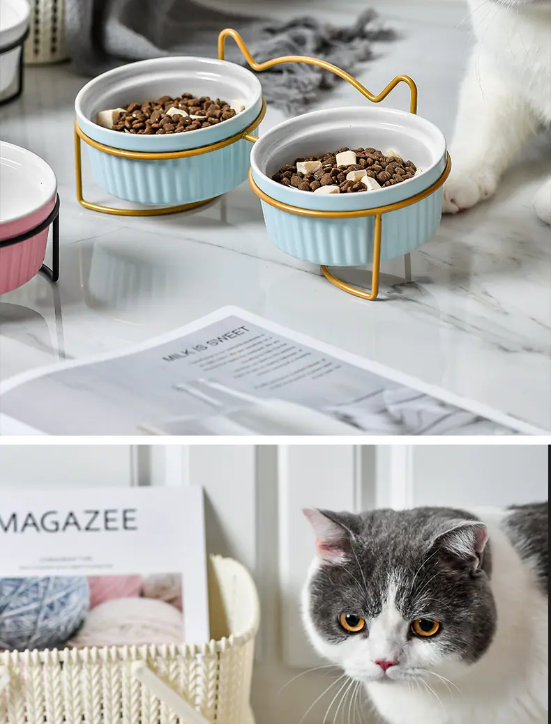 猫碗_15.jpg