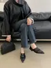 Zapatos Planos de Tacón Bajo con Punta Aguda Estilo Francés Otoño 2026, Zapatos de Mujer Elegantes y Versátiles con Apariencia de Tacón Alto