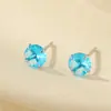 Bajo el Árbol Banyan S999 Plata Pura Amazonia Más Vendidos Pendientes de Zirconia Azul para Perforación de Oreja, Pendientes Unisex de Alta Gama al por Mayor