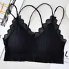 Chegada Nova Top Tomara que Caia Sem Costura com Alça Cruzada no Ombro Renda Sexy Decote V Alça no Ombro Roupa Íntima Feminina