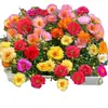 Semillas de Girasol de Doble Pétalo Florecen Todo el Año, Fáciles de Cultivar, Adecuadas para Jardines de Patio, Plantas en Maceta para Balcón, Semillas de Color Mixto para Uso en Interiores y Exteriores
