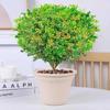 Dropshipping Perfume Flor de Milán Planta Verde en Maceta Planta de Flor de Interior Sala de Estar Balcón Planta de Floración de Cuatro Estaciones Jazmín