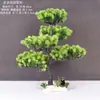 Decoração de Enfeite de Mesa Pinheiro Bem-vindo Pequeno Pinheiro Plantas Verdes Plantas Aquáticas Mini Rochedo Aquário Paisagismo Hotel
