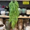Plantas Verdes Penduradas na Parede Planta-Aranha Flores Artificiais Plantas Verdes Pendentes Samambaias Tubos de Parede Decoração de Teto Folhas de Samambaia Cipós