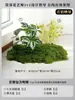 Musgo para Paisajismo de Plantas Verdes Plantas Artificiales Decoración Flores Artificiales Combinación Tropical para Interiores Paisaje de Ventana Persa Arreglo de Césped