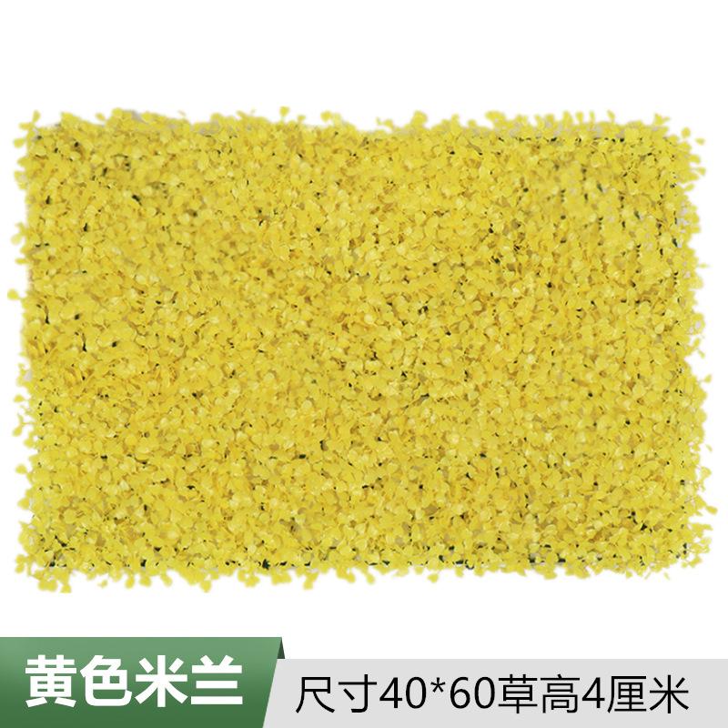 黄色米兰.png