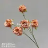 Flores Artificiales, Flores Secas Estilo Wabi-Sabi, Hojas Secas, Frutos de Pipa, Hortensias de Borde Tostado, Materiales Florales Vintage, Frutos de Espino Marítimo, Decoraciones de Mesa, Flores de Seda