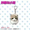 Chaveiro Fofo de Canto Crocante, Gato Abstrato Adorável Acrílico Decoração de Mochila Estudantil, Presente de Aniversário Perfeito para Amigos