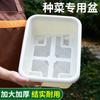 Caja especial para el cultivo de hortalizas, maceta rectangular de plástico para balcón, maceta familiar para plantar hortalizas, artefacto para plantar hortalizas.